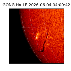 gong - 2026-06-04T04:00:42