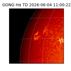 gong - 2026-06-04T11:00:22