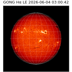 gong - 2026-06-04T03:00:42