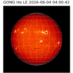 gong - 2026-06-04T04:00:42