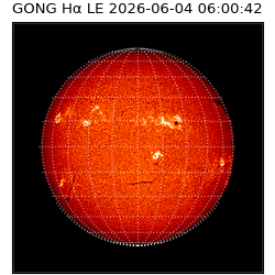 gong - 2026-06-04T06:00:42
