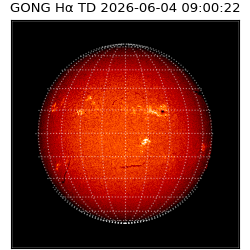 gong - 2026-06-04T09:00:22