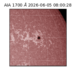 saia - 2026-06-05T08:00:28.717000