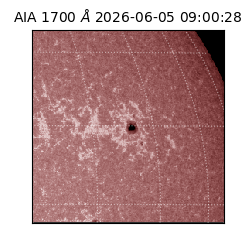 saia - 2026-06-05T09:00:28.717000