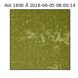 saia - 2026-06-05T08:00:14.123000