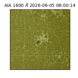 saia - 2026-06-05T08:00:14.123000