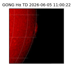 gong - 2026-06-05T11:00:22