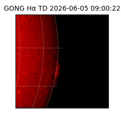 gong - 2026-06-05T09:00:22