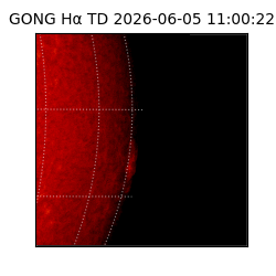 gong - 2026-06-05T11:00:22