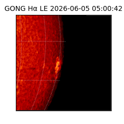 gong - 2026-06-05T05:00:42