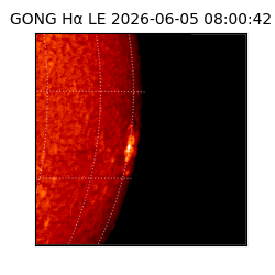 gong - 2026-06-05T08:00:42