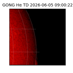 gong - 2026-06-05T09:00:22