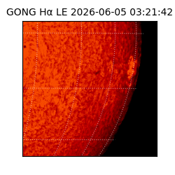 gong - 2026-06-05T03:21:42