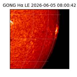 gong - 2026-06-05T08:00:42