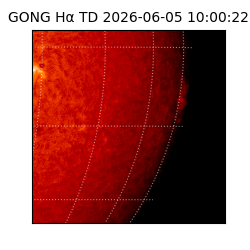 gong - 2026-06-05T10:00:22