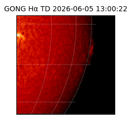 gong - 2026-06-05T13:00:22
