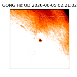 gong - 2026-06-05T02:21:02