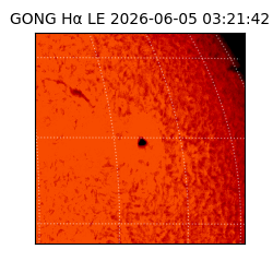gong - 2026-06-05T03:21:42