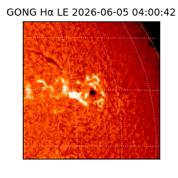 gong - 2026-06-05T04:00:42