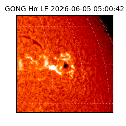 gong - 2026-06-05T05:00:42