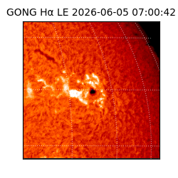 gong - 2026-06-05T07:00:42