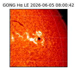 gong - 2026-06-05T08:00:42