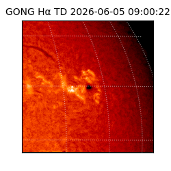 gong - 2026-06-05T09:00:22