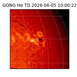 gong - 2026-06-05T10:00:22