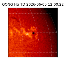 gong - 2026-06-05T12:00:22