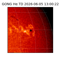 gong - 2026-06-05T13:00:22