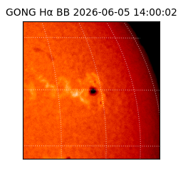 gong - 2026-06-05T14:00:02