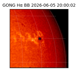 gong - 2026-06-05T20:00:02