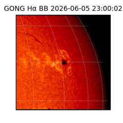 gong - 2026-06-05T23:00:02