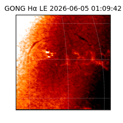 gong - 2026-06-05T01:09:42