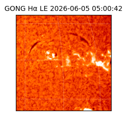 gong - 2026-06-05T05:00:42
