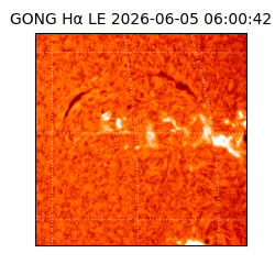 gong - 2026-06-05T06:00:42
