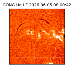 gong - 2026-06-05T08:00:42