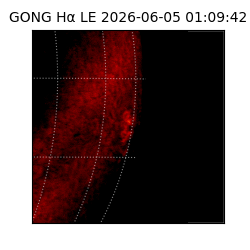 gong - 2026-06-05T01:09:42