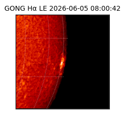 gong - 2026-06-05T08:00:42