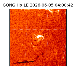 gong - 2026-06-05T04:00:42