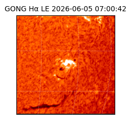 gong - 2026-06-05T07:00:42