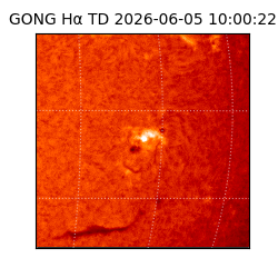 gong - 2026-06-05T10:00:22