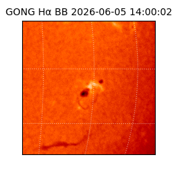 gong - 2026-06-05T14:00:02