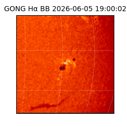 gong - 2026-06-05T19:00:02