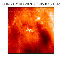 gong - 2026-06-05T02:21:02