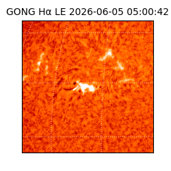 gong - 2026-06-05T05:00:42