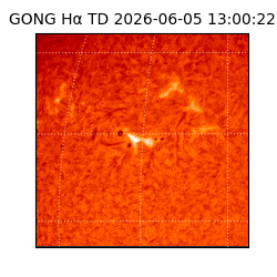 gong - 2026-06-05T13:00:22