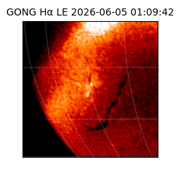 gong - 2026-06-05T01:09:42