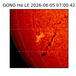 gong - 2026-06-05T07:00:42