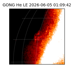 gong - 2026-06-05T01:09:42